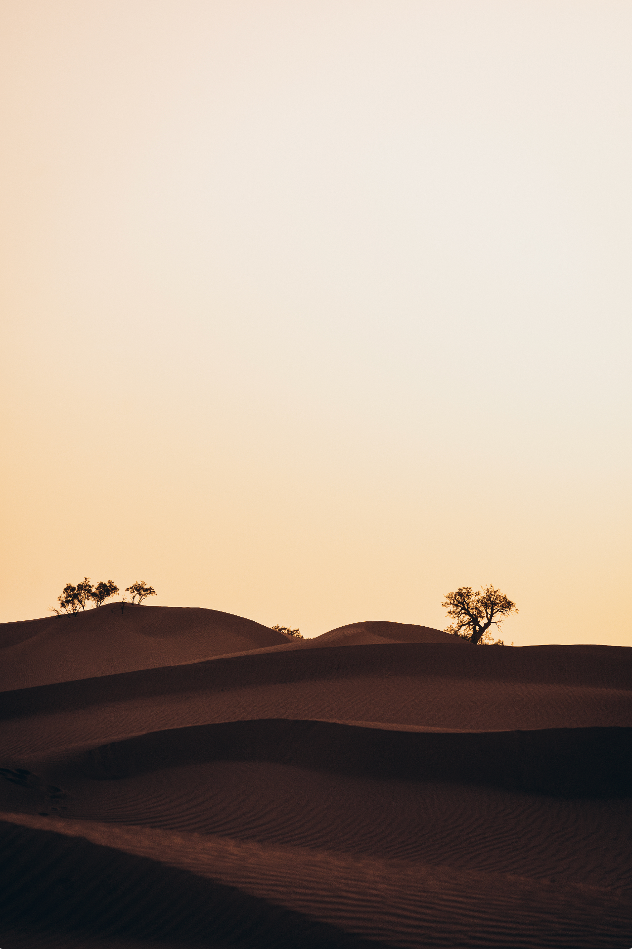 DESERT